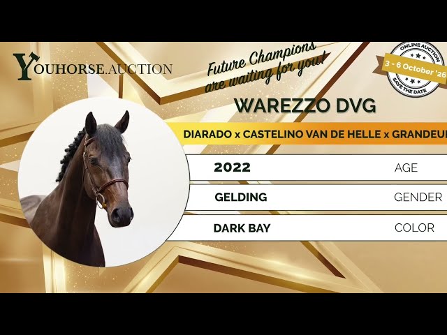 Warezzo trainingsvideo