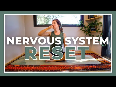 45-min NERVOUS SYSTEM RESET - Yin Yoga to Stretch & Relax (Katie McGrath Yin)