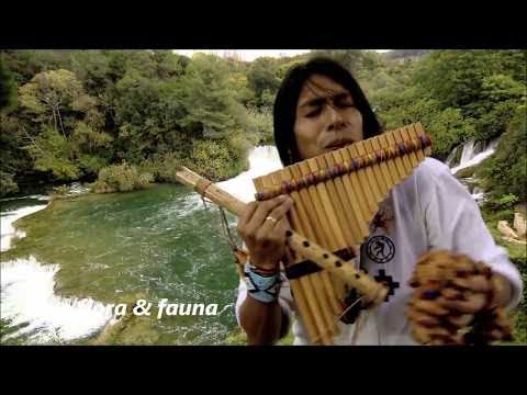 Leo  Rojas - Matsuri