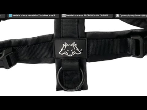 LOGOGATE: il CERBERO PODCAST alle prese con un potenziale PLAGIO