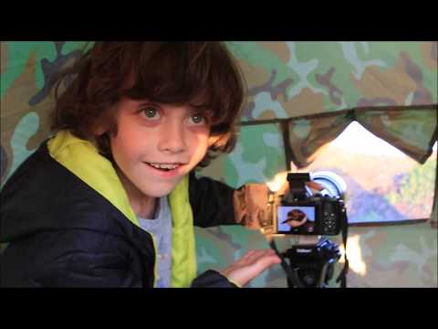 Grześ fotografuje -  sieweczka rzeczna(Charadrius dubius) ,skowronek polny(Alauda arvensis)