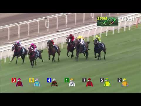 23/1/2022 (362) Waikuku - Z Purton (G1,The Stewards' Cup, Waikuku ends Golden Sixty winning streak )