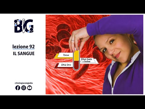 Il SANGUE - un tessuto connettivo con funzione trofica