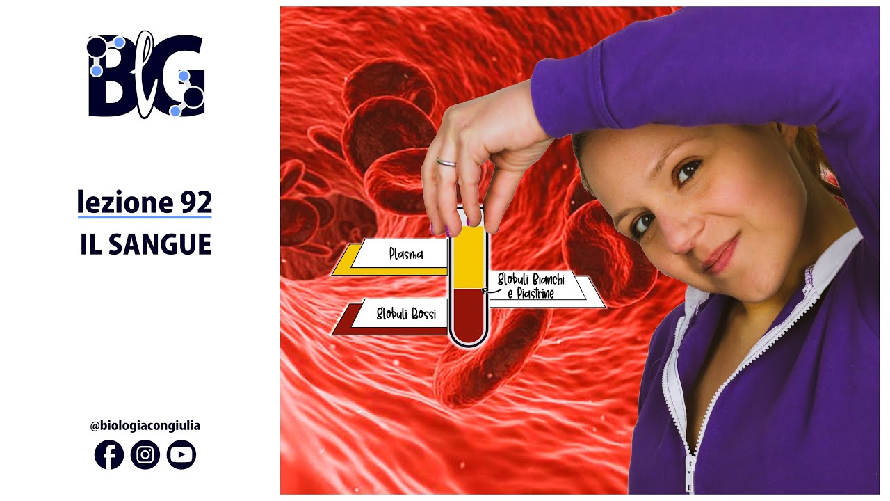 Il SANGUE - un tessuto connettivo con funzione trofica