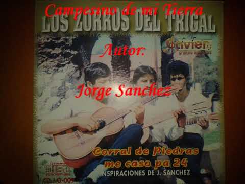 Los Zorros del Trigal Campesino de mi Tierra