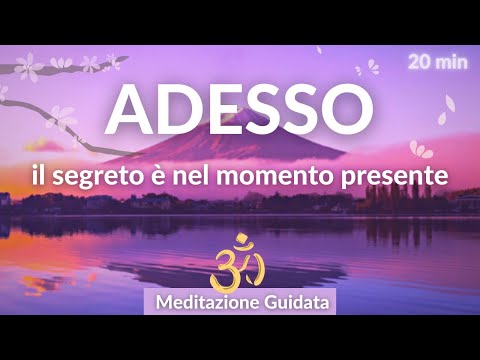 Il Segreto è nel Momento Presente - Meditazione Guidata