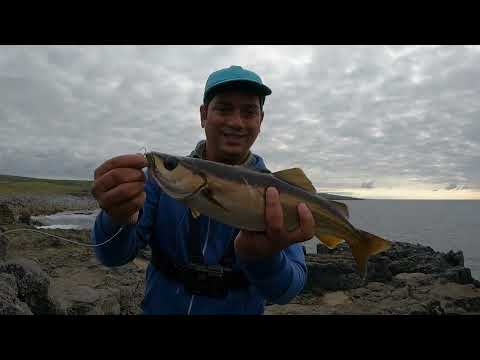 Pollack fishing from the west coast of Ireland