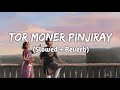 Tor Moner Pinjiray ( Slowed + Reverb) || Ankur Mahamud feat || Jisan Khan Shuvo || By KD Musix