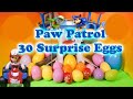 PAW PATROL Nickelodeon Paw Patrol 30 Toy and ...