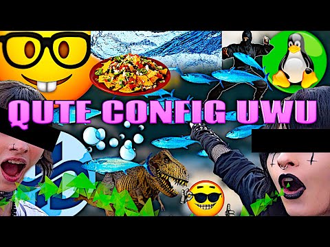 ricing and configuring qute browser #qutebrowser #linux