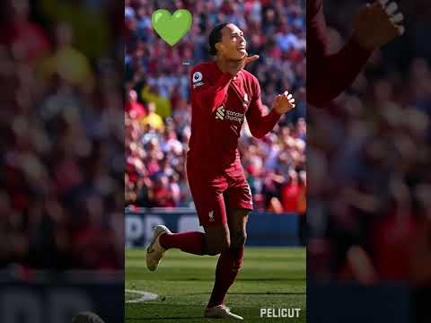 #shorts #habibi ##pique #sergioramos #virgilvandijk #battle