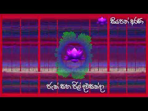 ජැක් සහ ජිල් දවසක්දා