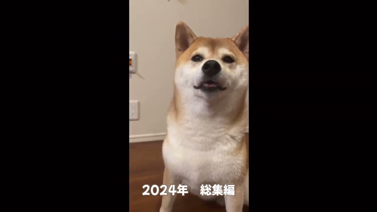 「ゔん」2024年総集編