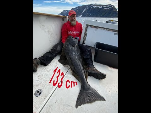 Team Somnium @ Skjervoy Fiskecamp - juni 2024 -  deel 1