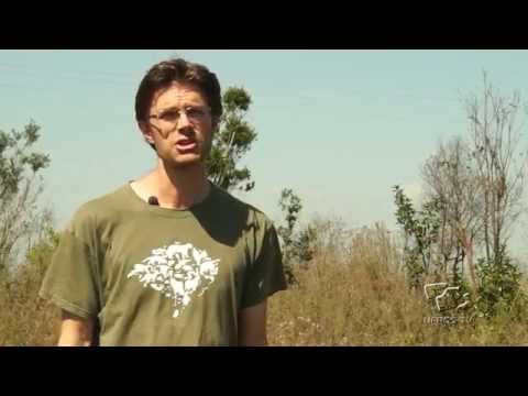 Conhecendo a UFRGS - LEVCamp