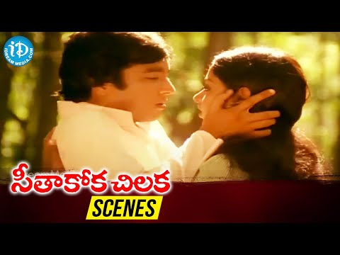 Seethakoka Chilaka Movie Scenes | Karthik hugs Aruna | Bharathiraja | Ilaiyaraja | iDream Movies