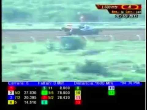 SANTA RITA 6 CARRERA, JUEVES 01 DE OCTUBRE DEL 2015