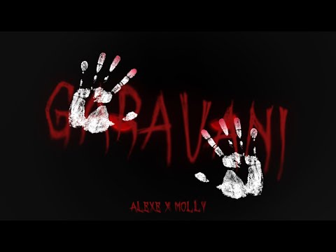 Alexe X Molly - Garavani🥂 (Official Visualizer)