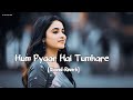 Hum Pyaar Hai Tumhare Slowed Reverb 90 S Song Oldisgoldsongs Lofi Song