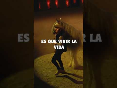 Luis Alfonso - Contentoso (Letra) 🎶🎶🎶