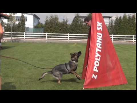 Conie Tiranavia 15 mesiacov