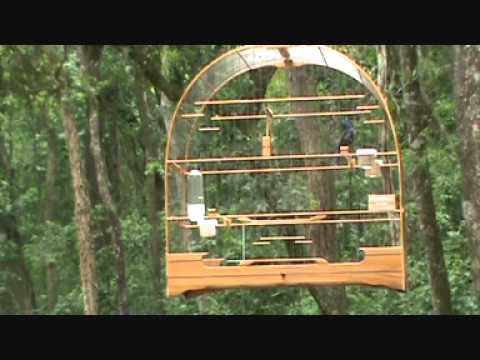 Torneio de Jundiaí - 10/10/2010 - 3º Clássico com Repetição - Estaca 1 - Federal