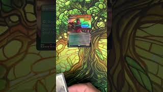 A look at the infamous unsleeved Captain Sisay deck #edh #magicthegatheringcommunity #mtg
