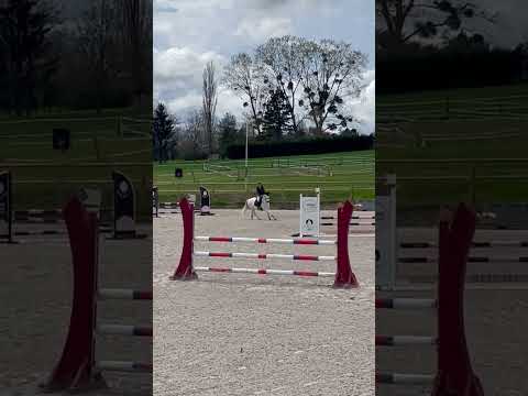 A vendre_Poney D_CCE AS2/CSO PEl_Maître d’école