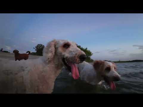 Beautiful morning watching the sunrise