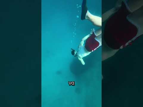 Πέταξα κοτόπουλο στη θάλασσα