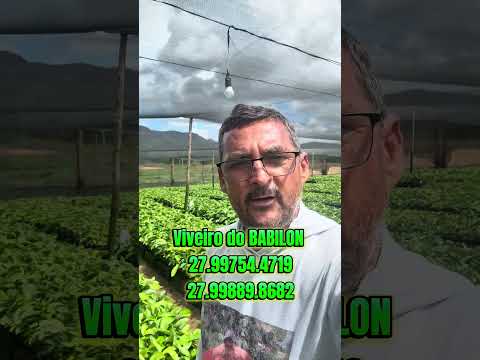 Tequinologia peip pot