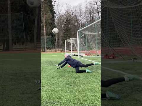 Defending the Goal