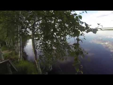 Kyl nyt pitäs tulla kalaa