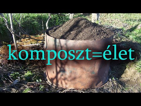 A komposzt maga az élet