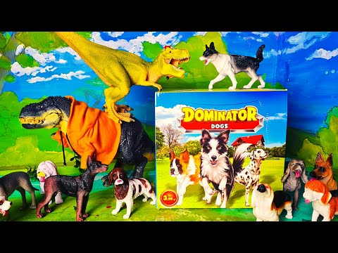 , title : 'DOMINATOR DOGS 🐕🐶🐕‍🦺 Arex e Vastatore imparano a riconoscere le razze dei cani'