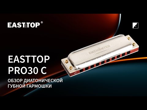 Демонстрация звучания губной гармошки Easttop PRO30