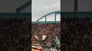 Download lagu PSYWAR dari BCS untuk Arema Fc #brigatacurvasud #psssleman #pssday #shorts mp3