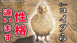 [閒聊] 魔物荒野 鷺鷹龍寶寶