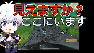 【荒野行動】 黒包帯なら木に伏せたらバレない説