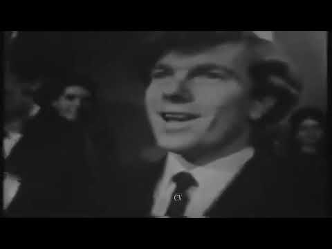 1965 Them Yardbirds The Who  Kinks Live