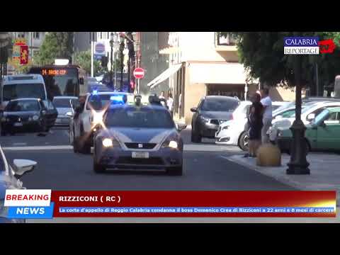 Rizziconi: la corte d'appello reggina condanna il boss Domenico Crea a 22 anni e 8 mesi di carcere.