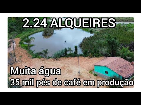 Sítio com casa , 35 mil pés de café em produção.