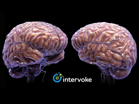 The Human Brain Medical Animation by Intervoke