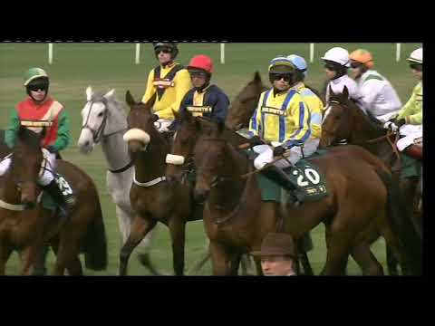 2010 Topham Trophy - Aintree meeting