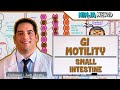 Gastrointestinal GI Motility Of The Small Intestine