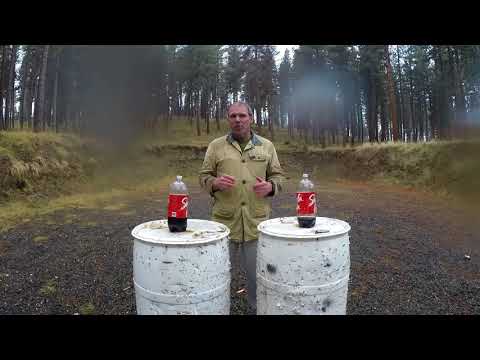 Concealed Carry: Is .32 ACP Enough?