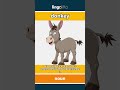donkey - a farm animal like a small ... video thumbnail