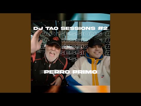 PERRO PRIMO | DJ TAO Turreo Sessions #2