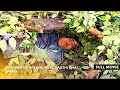Kyu Ped Ke Neeche Aaye Haathi Bhai FULL MOVIE Part 1 Taarak Mehta Ka Ooltah Chashmah