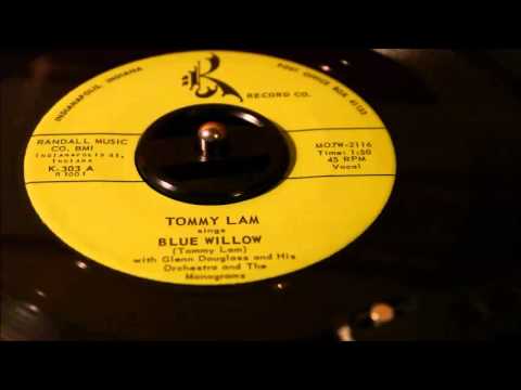 TOMMY LAM  Blue willow